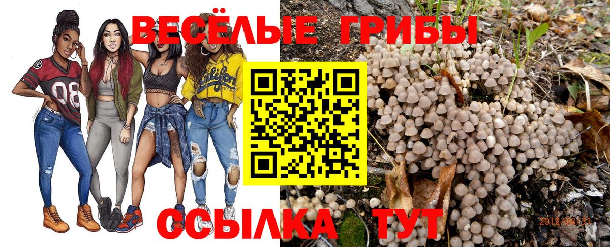 Псилоцибиновые грибы ЛСД Воркута